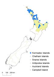 Schizaea dichotoma distribution map based on databased records at AK, CHR, NZFRI and WELT.
 Image: K. Boardman © Landcare Research 2014 